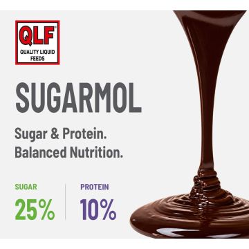 Sugarmol - 60% DM. Balanced natural sugar and protein.